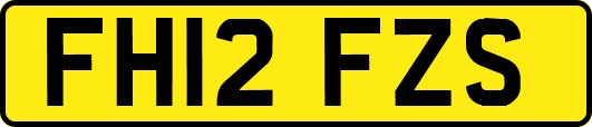 FH12FZS