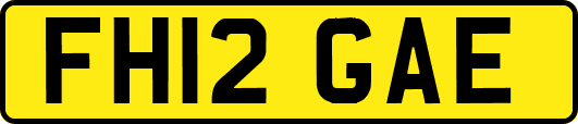 FH12GAE