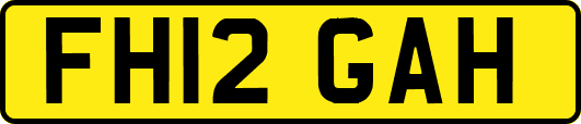 FH12GAH