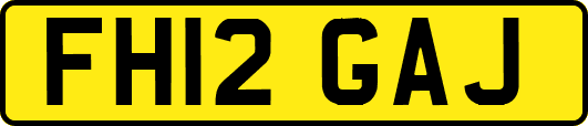 FH12GAJ