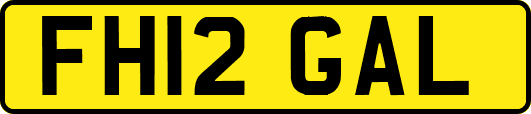 FH12GAL