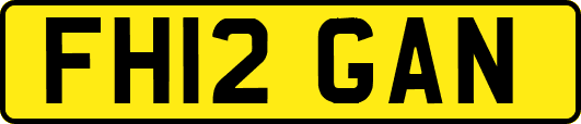 FH12GAN
