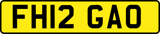 FH12GAO