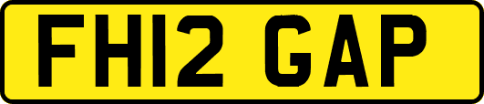 FH12GAP