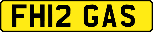 FH12GAS