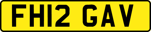 FH12GAV