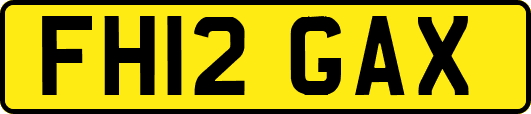 FH12GAX