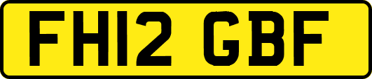 FH12GBF