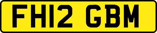 FH12GBM