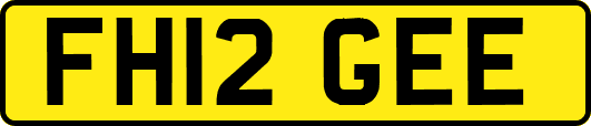 FH12GEE