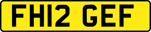 FH12GEF
