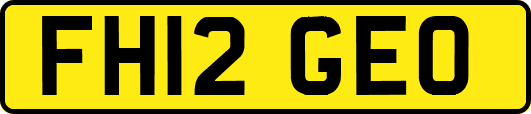 FH12GEO