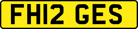 FH12GES