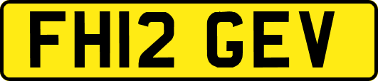 FH12GEV