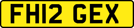 FH12GEX