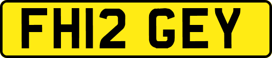 FH12GEY