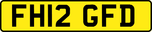 FH12GFD