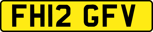 FH12GFV