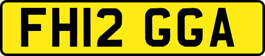 FH12GGA