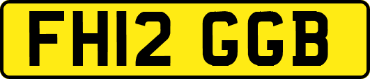 FH12GGB