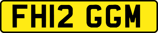 FH12GGM