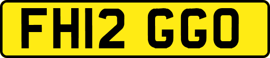 FH12GGO