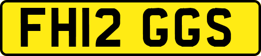 FH12GGS
