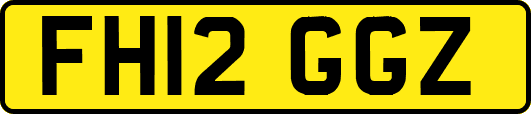 FH12GGZ