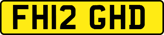FH12GHD
