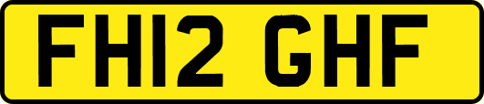 FH12GHF