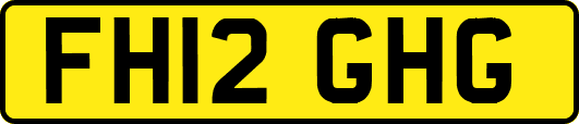 FH12GHG