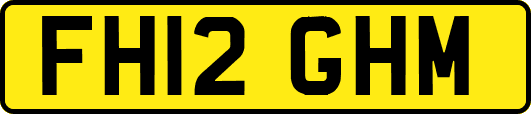 FH12GHM