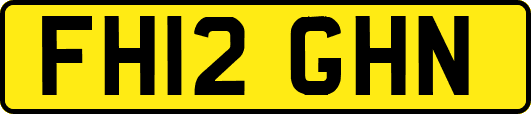 FH12GHN