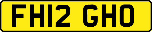 FH12GHO