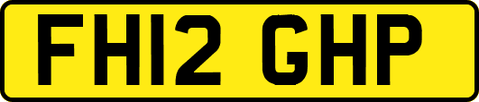 FH12GHP
