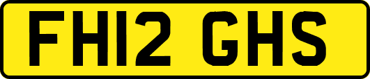 FH12GHS