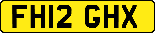 FH12GHX