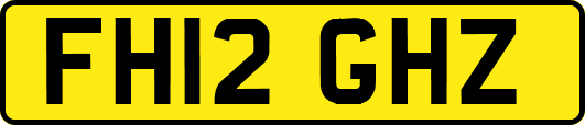 FH12GHZ