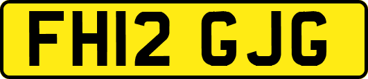 FH12GJG