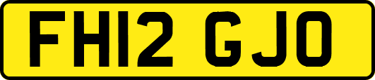 FH12GJO