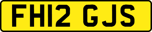 FH12GJS