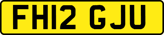 FH12GJU