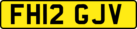 FH12GJV