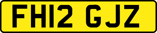 FH12GJZ