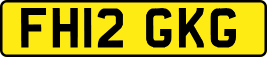 FH12GKG