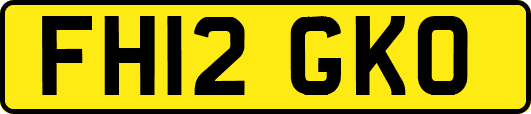 FH12GKO