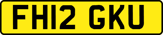 FH12GKU