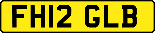 FH12GLB