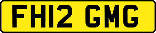 FH12GMG
