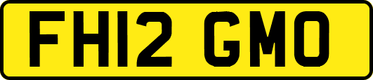 FH12GMO